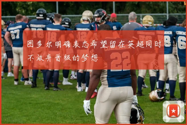 图多尔明确表态希望留在英超同时不放弃晋级的梦想
